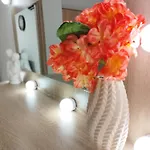 Apartman Venus 109! 300mbps Internet Szaloniki